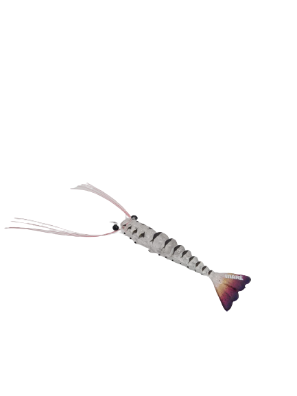 Maré Tiger Shrimp