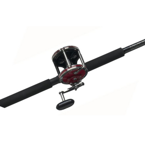 PENN Combo Caña 114H/SL3080CR66