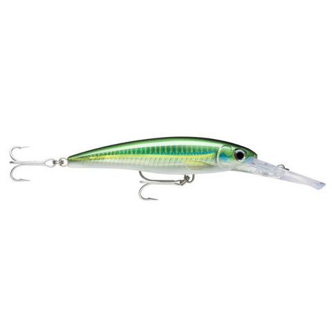 RAPALA X-RAP mag extreme 160 hdbscd