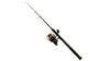 Combo PENN Spinfisher VI Live Liner Combo Spinning