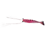Maré Tiger Shrimp