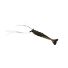 Maré Tiger Shrimp