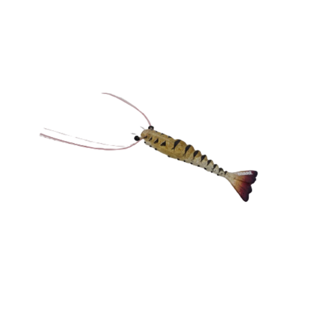 Maré Tiger Shrimp