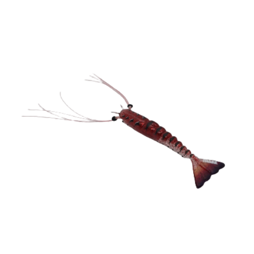 Maré Tiger Shrimp