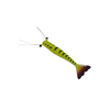 Maré Tiger Shrimp