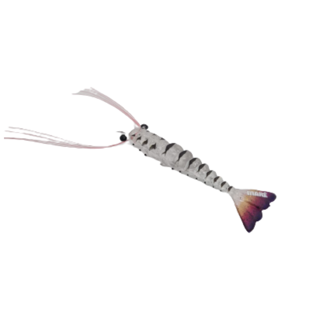 Maré Tiger Shrimp