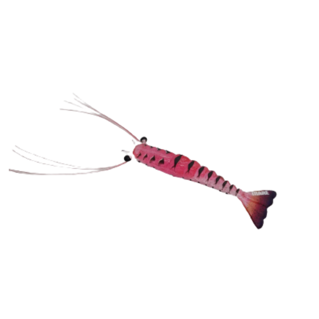 Maré Tiger Shrimp
