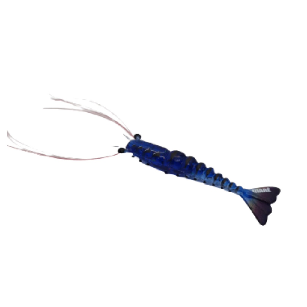 Maré Tiger Shrimp
