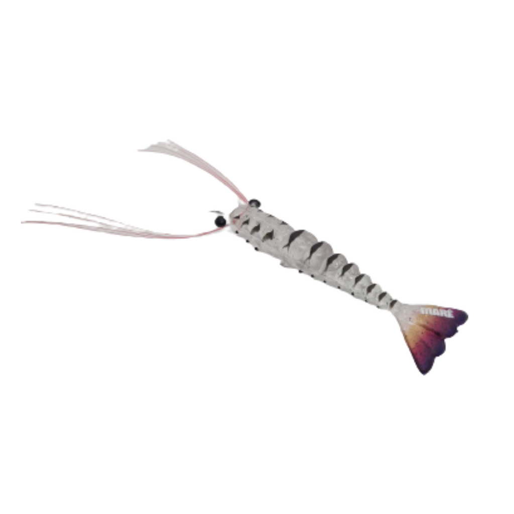 Maré Tiger Shrimp