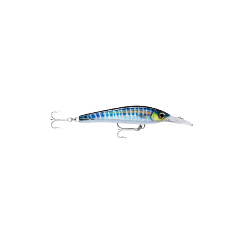 RAPALA X-RAP MAG EXTREME 160 HDD