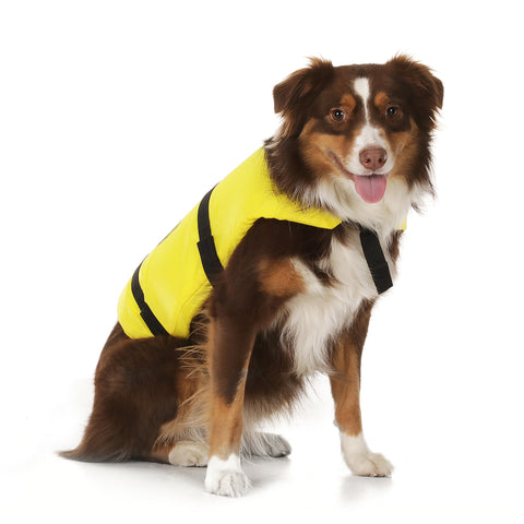 Seachoice Chaleco salvavidas para perros 20-50lbs