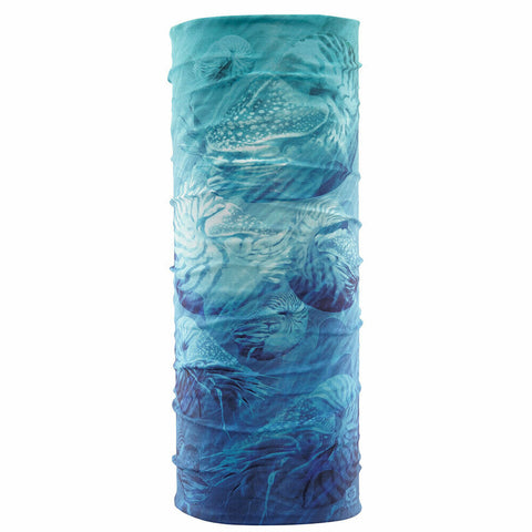 F. fisherman Sunbandit Nautilus